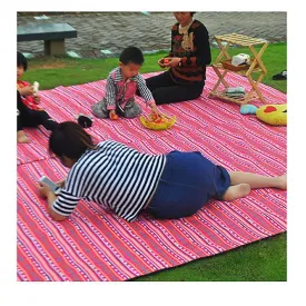 Outdoor Waterproof Grass Picnic Mat TI-34